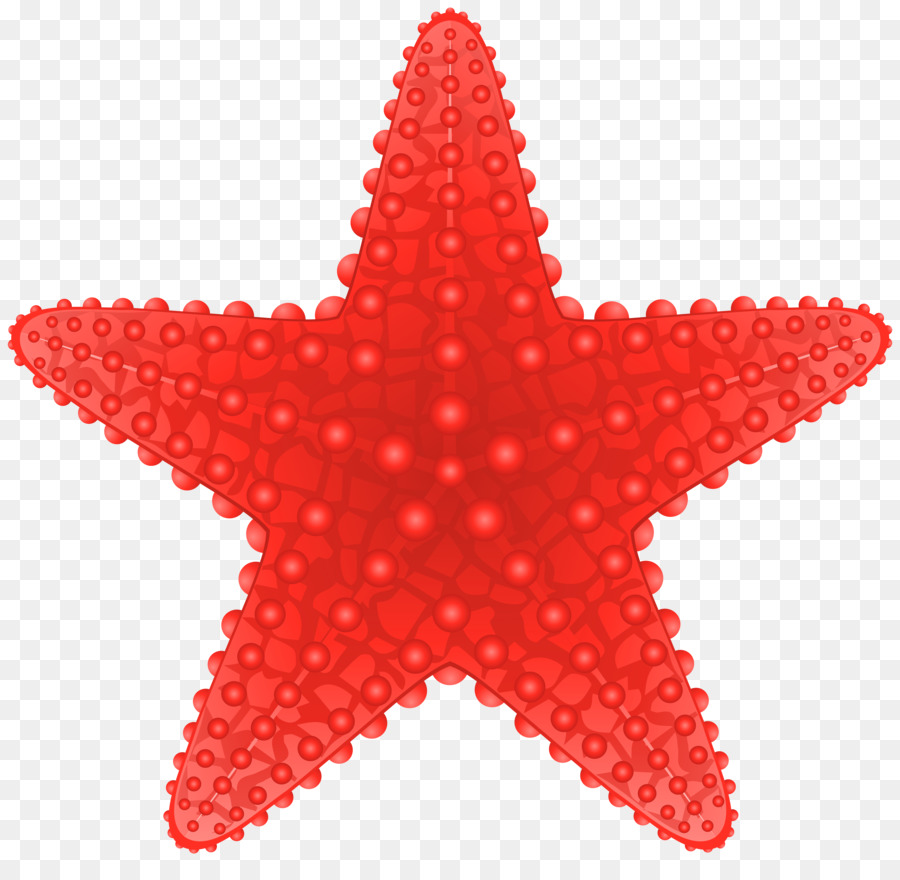 Les étoiles De Mer，Royaltyfree PNG