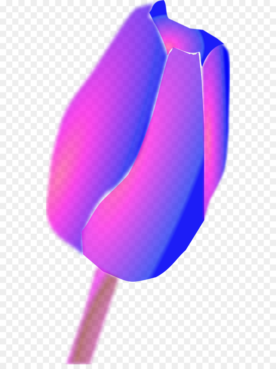 Contenu Gratuit，Tulip PNG