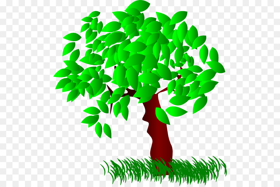 Arbre Vert，Feuilles PNG