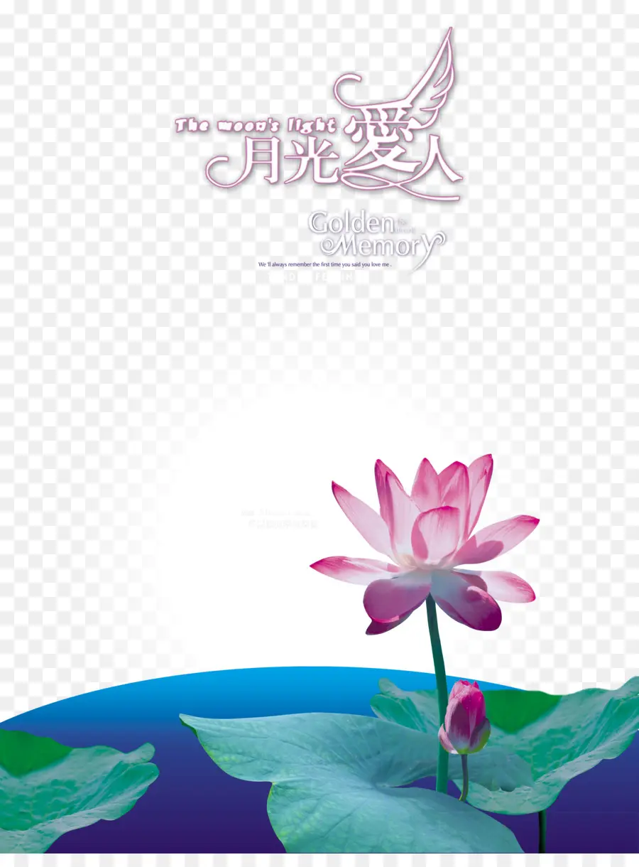 Fleur De Lotus，Floraison PNG