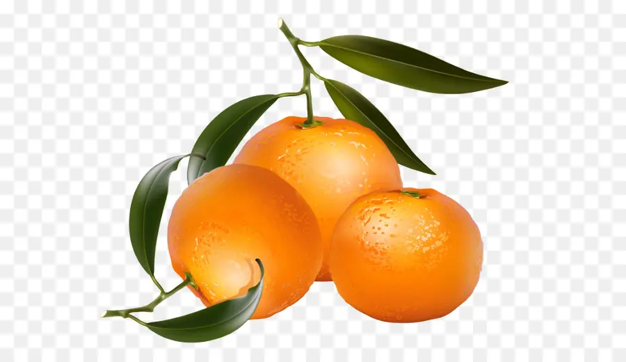 Citron，Orange PNG