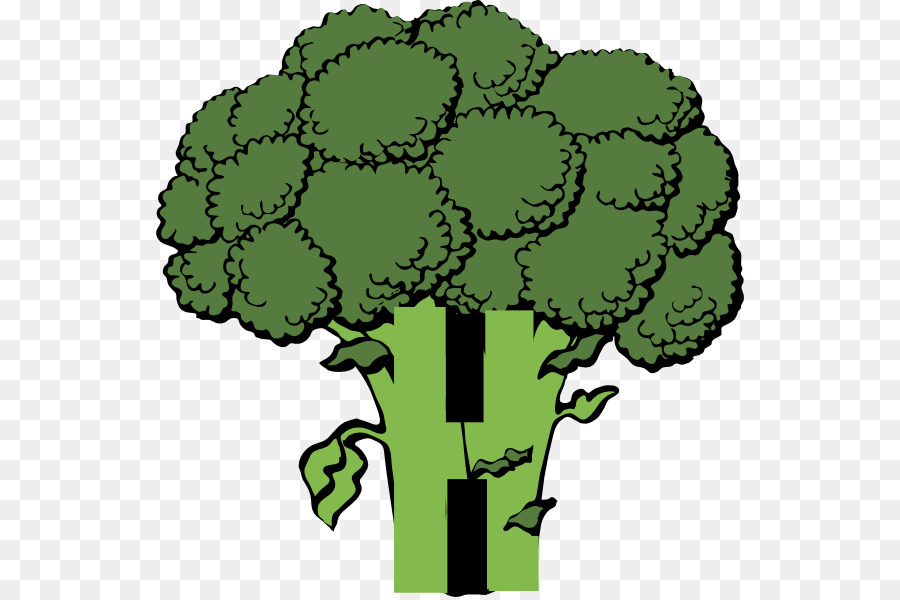 Brocoli，Vert PNG