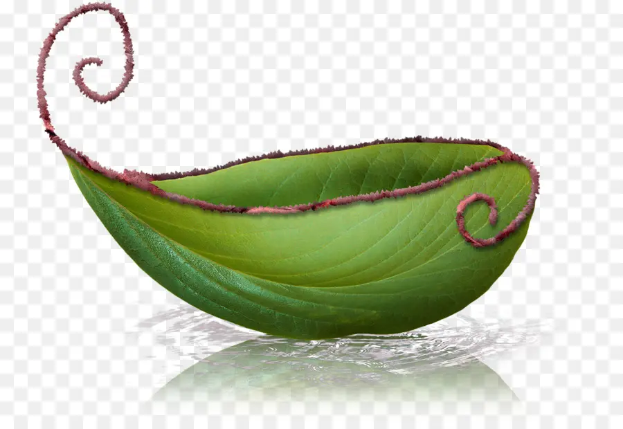 Bateau Feuille Verte，Eau PNG