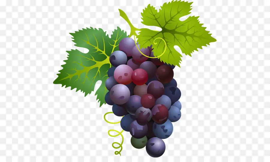 Raisins，Fruit PNG