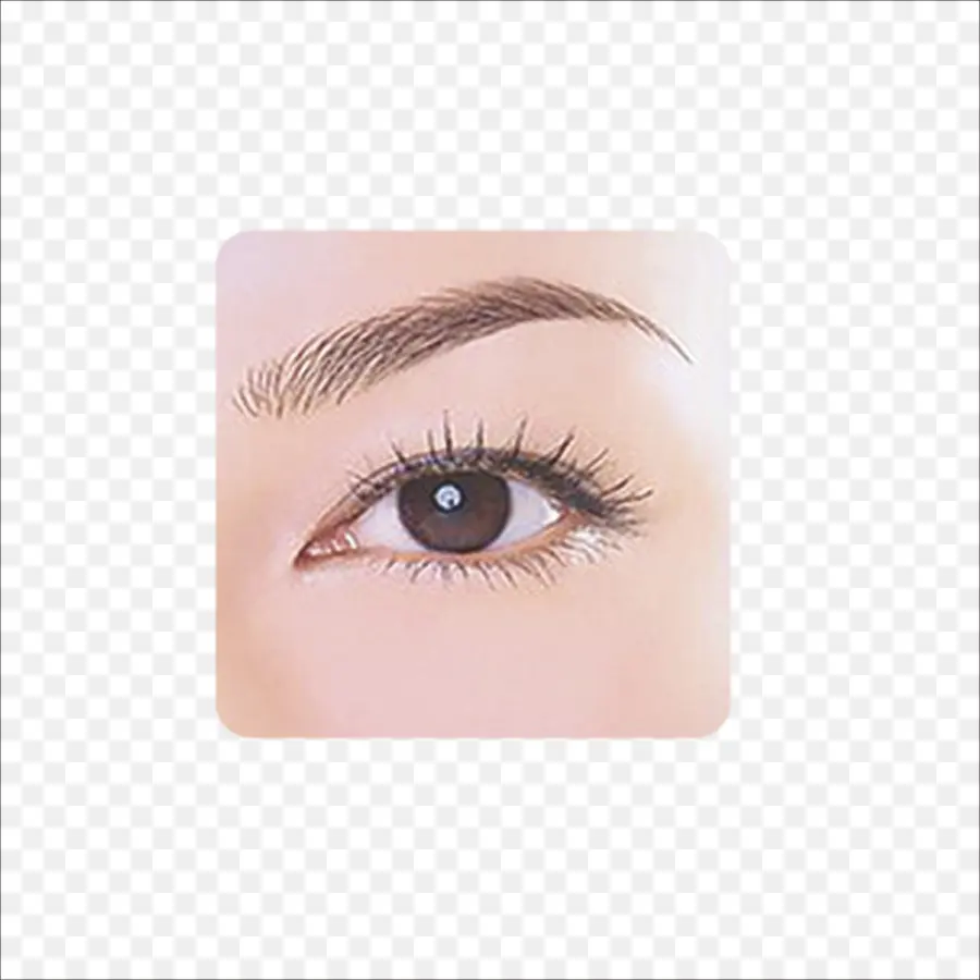 œil，Sourcil PNG