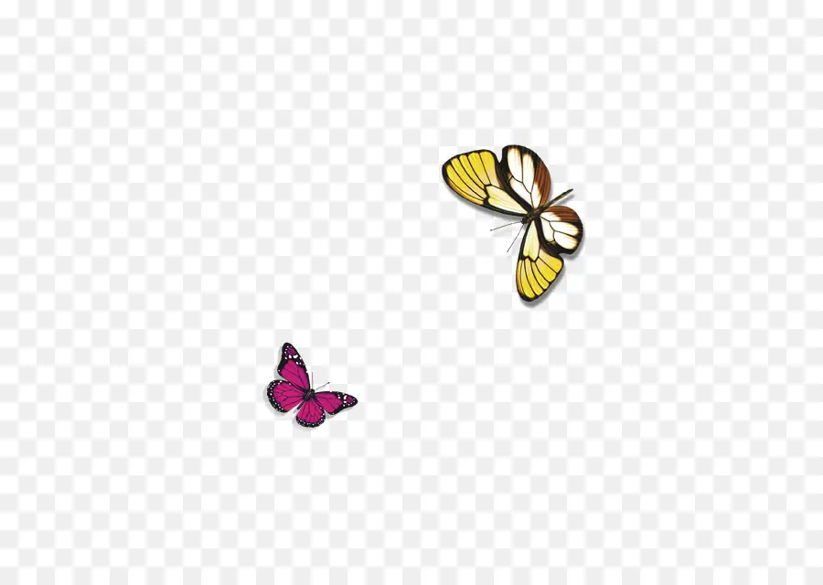 Papillons，Coloré PNG