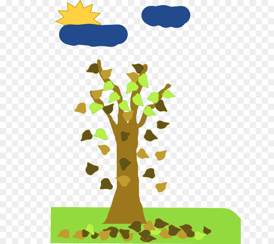 Arbre，Feuilles PNG