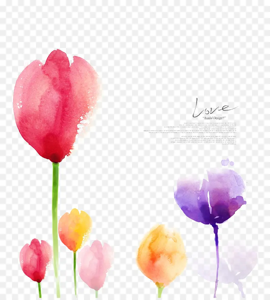 Fleurs Aquarelles，Peinture PNG