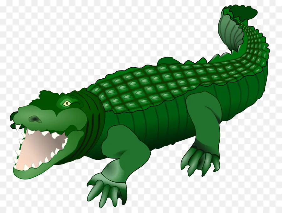 Crocodile，Alligator PNG