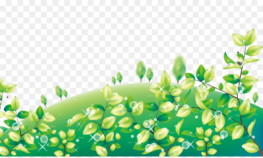 Feuille Verte，Usine PNG