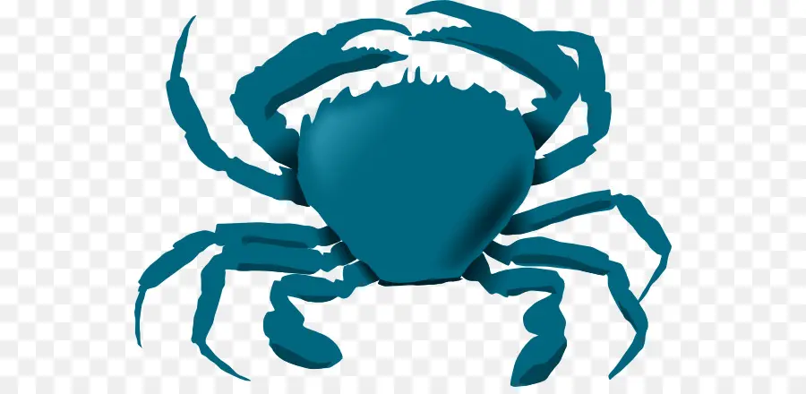 Crabe，Chesapeake Blue Crab PNG