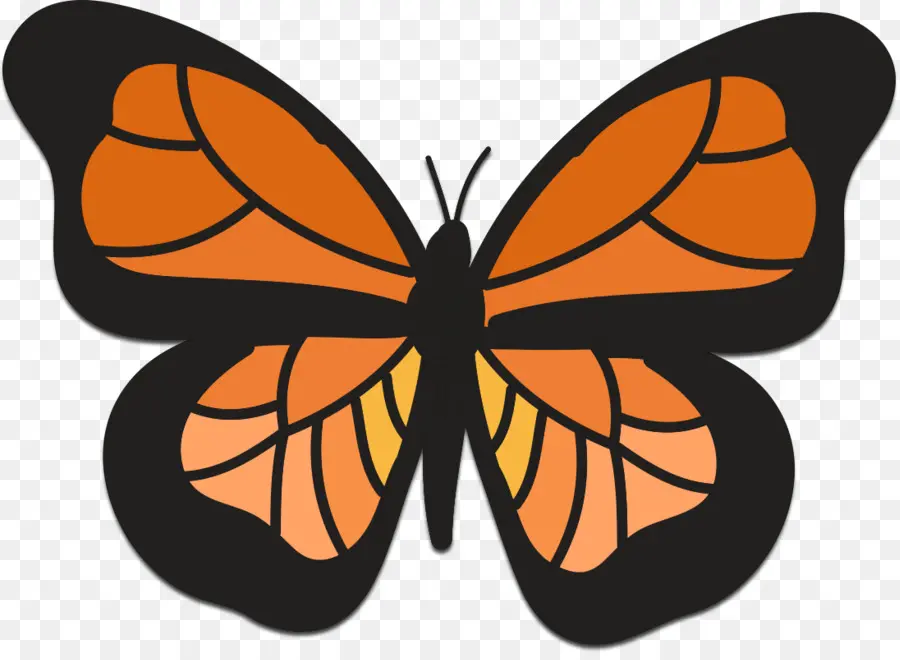 Papillon Orange，Insecte PNG