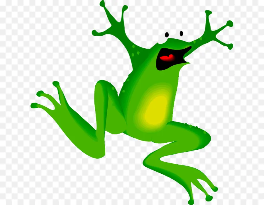 Grenouille，Vert PNG