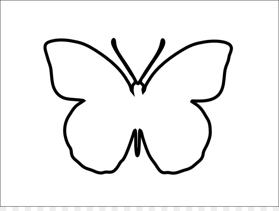 Papillon，Insecte PNG