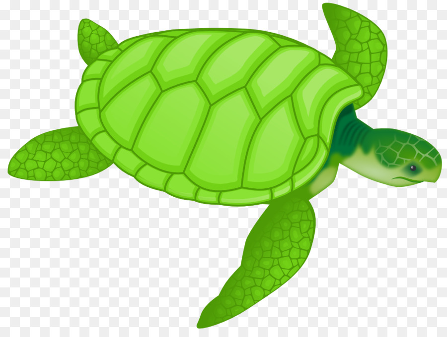 Tortue Tortue De Mer Tortue De Mer Verte Png Tortue Tortue De Mer Tortue De Mer Verte Transparentes Png Gratuit