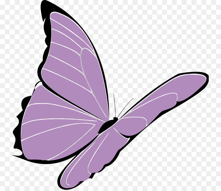 Papillon，Ailes PNG