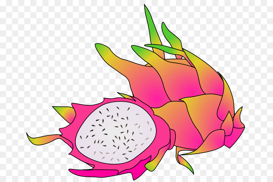 Fruit Du Dragon，Rose PNG