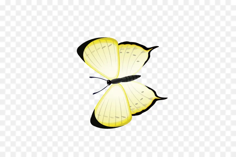 Papillon，Ailes PNG