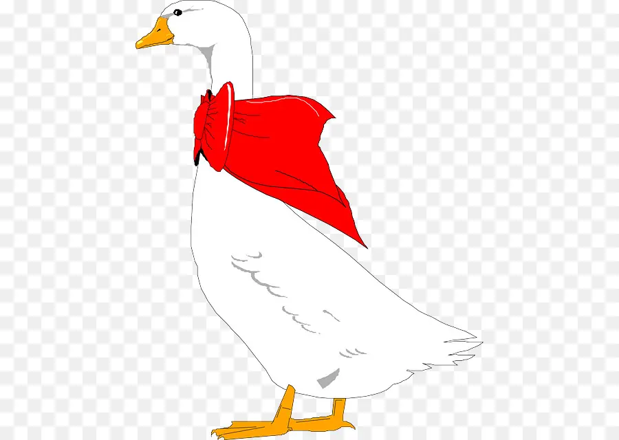 Canard，Cap PNG