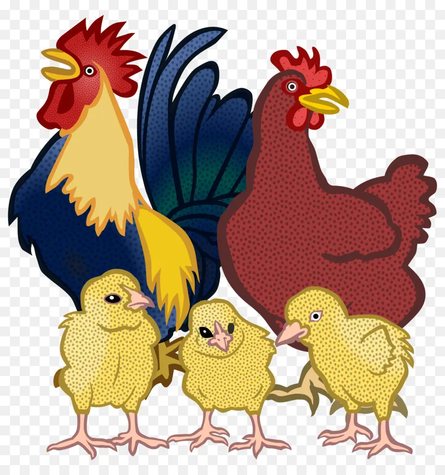 Poulets，Coq PNG