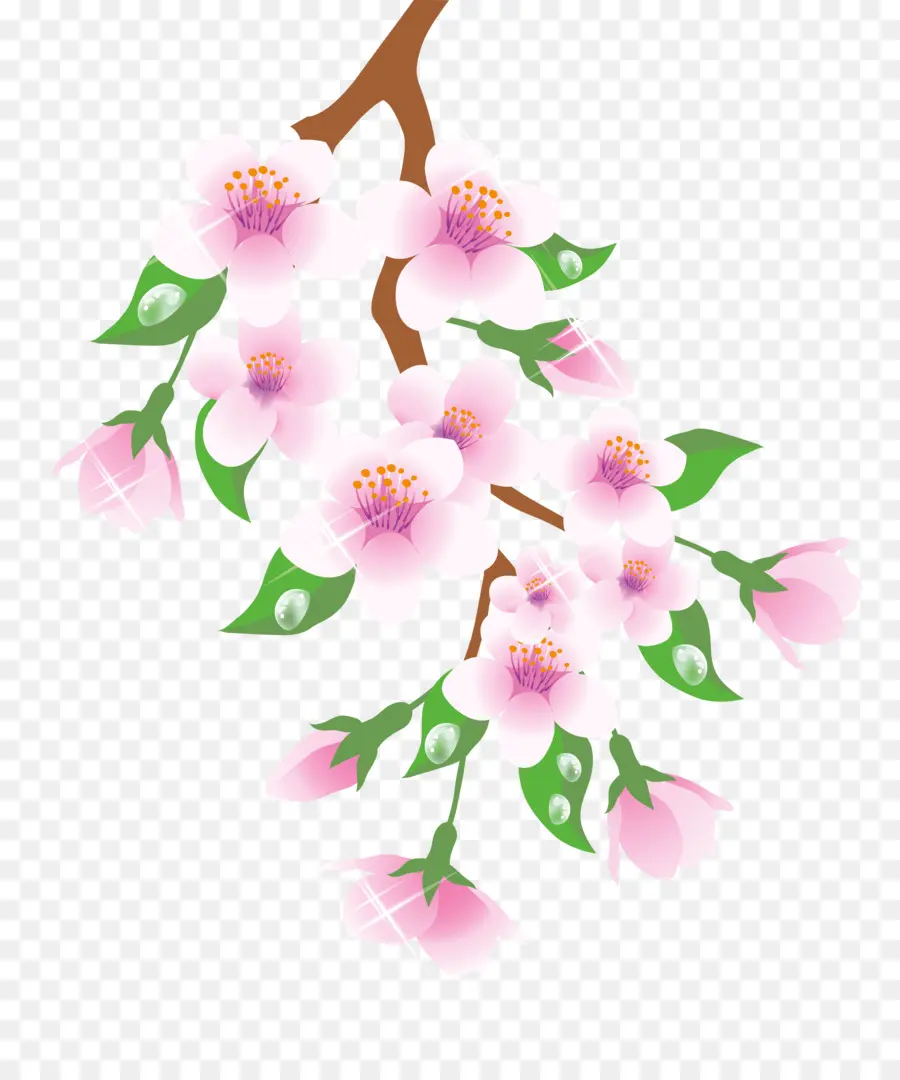 Fleur De Cerisier，Bifurquer PNG