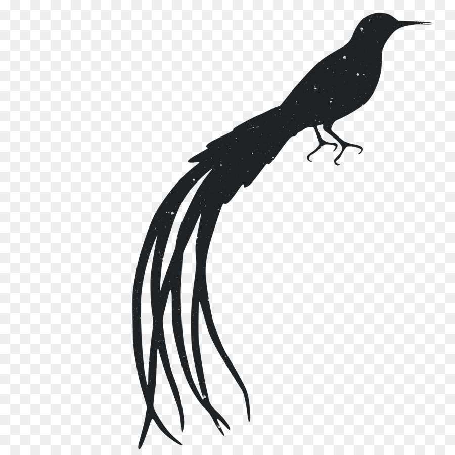 Silhouette，Animal PNG