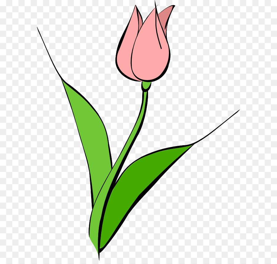 Fleur Rouge，Usine PNG