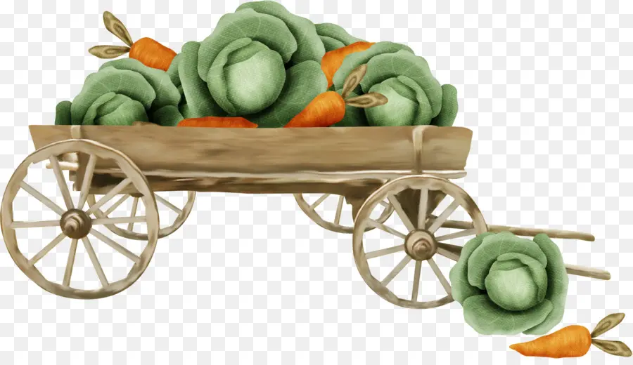 Légumes，La Carotte PNG