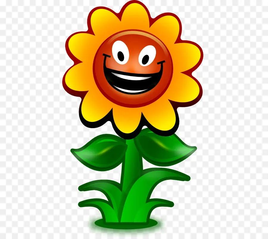 Fleur Souriante，Heureux PNG