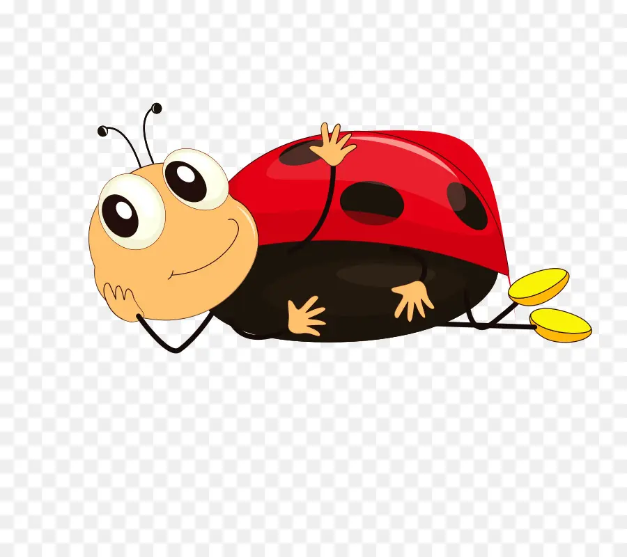 Coccinelle，Bogue PNG