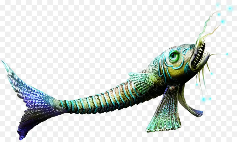 Poisson，Aquatique PNG