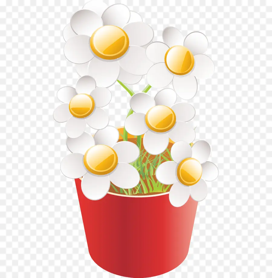 Marguerites，Blanc PNG