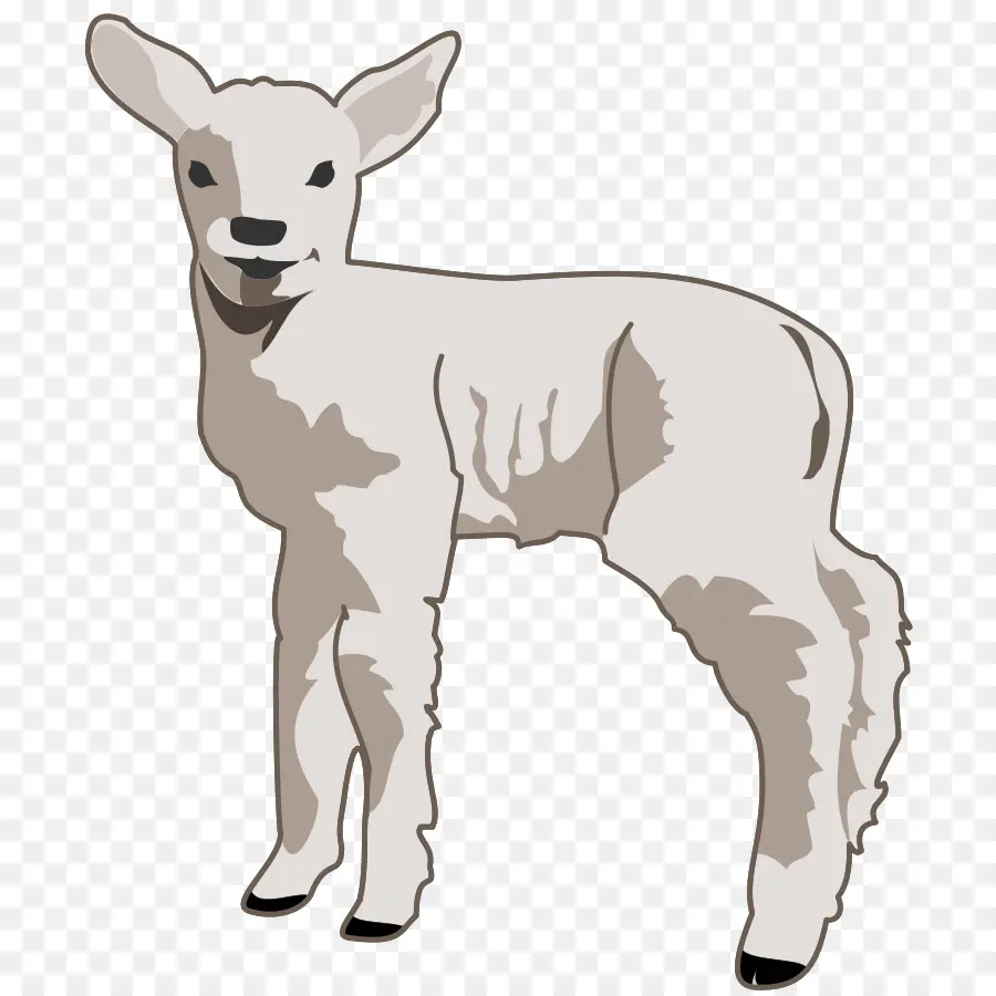 Agneau，Mouton PNG