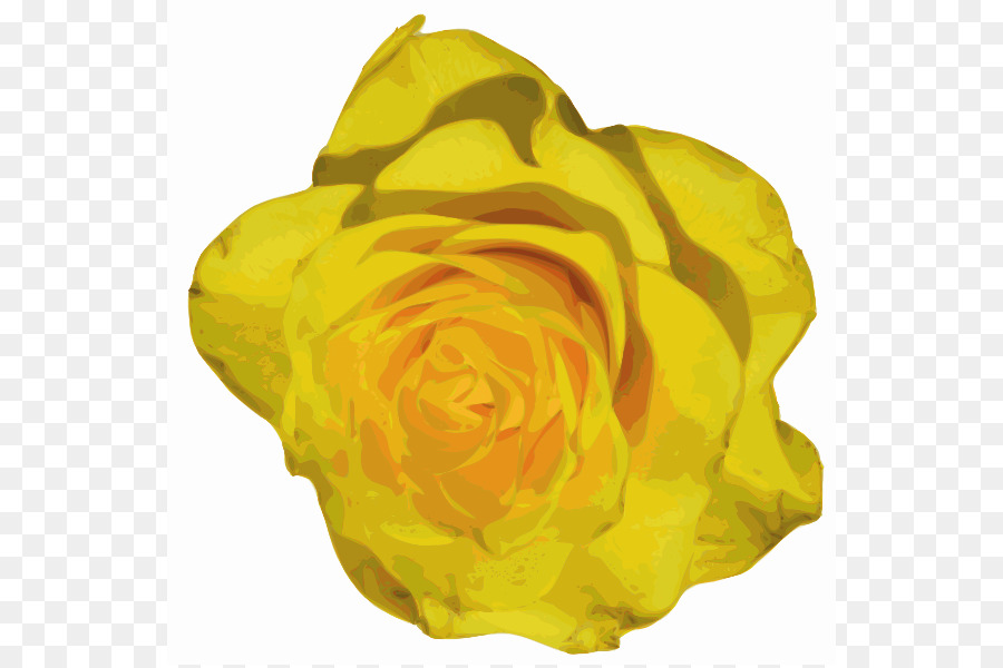 Rose，Jaune PNG