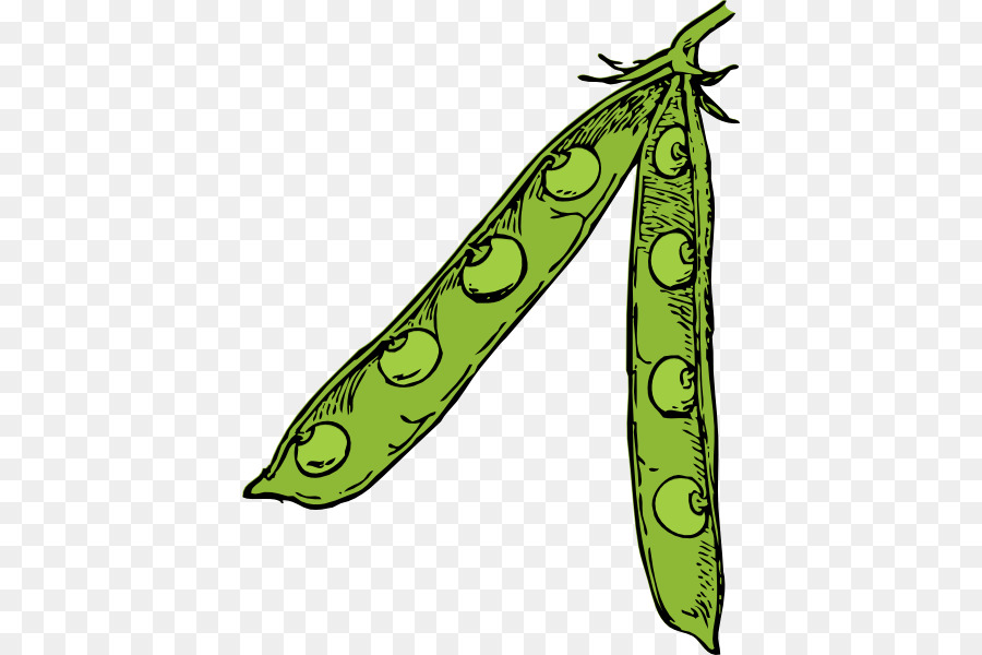 Dessin De Cosse De Pois，Petits Pois PNG