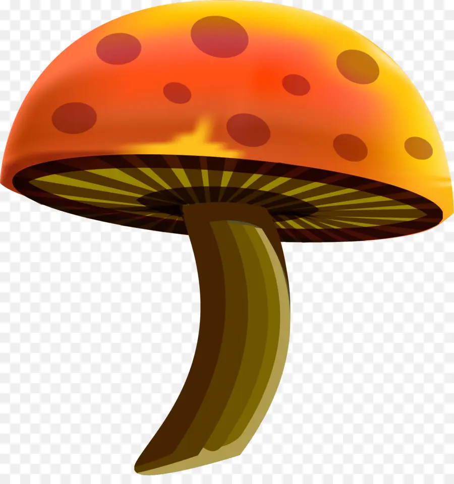 Champignon，Champignons PNG