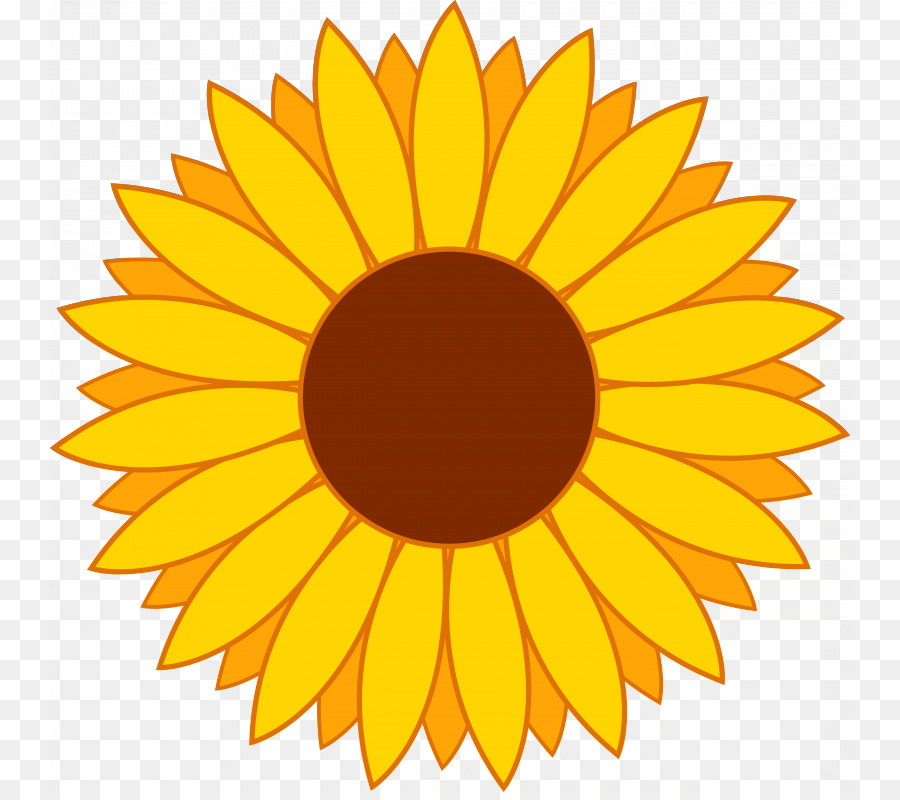 Commune De Tournesol，Contenu Gratuit PNG