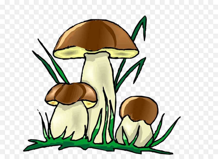 Champignons，Feuilles PNG