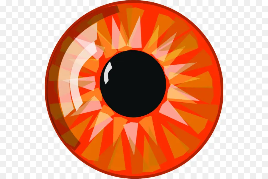 Oeil Bleu，œil PNG