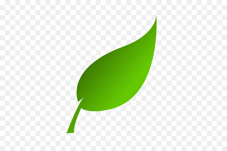 Feuille Verte，Usine PNG