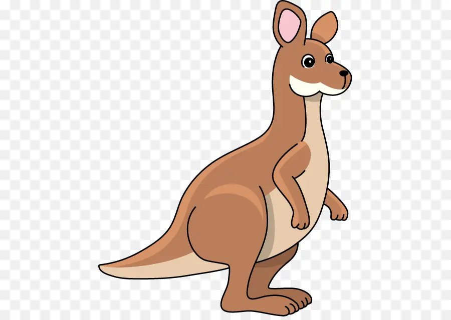 Kangourou，Marsupial PNG