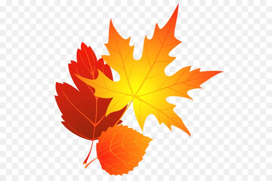 L Automne，La Couleur Des Feuilles D Automne PNG