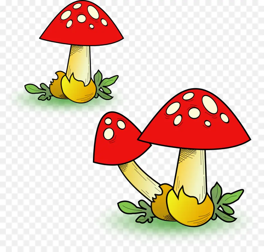 Champignons Rouges，Taches PNG