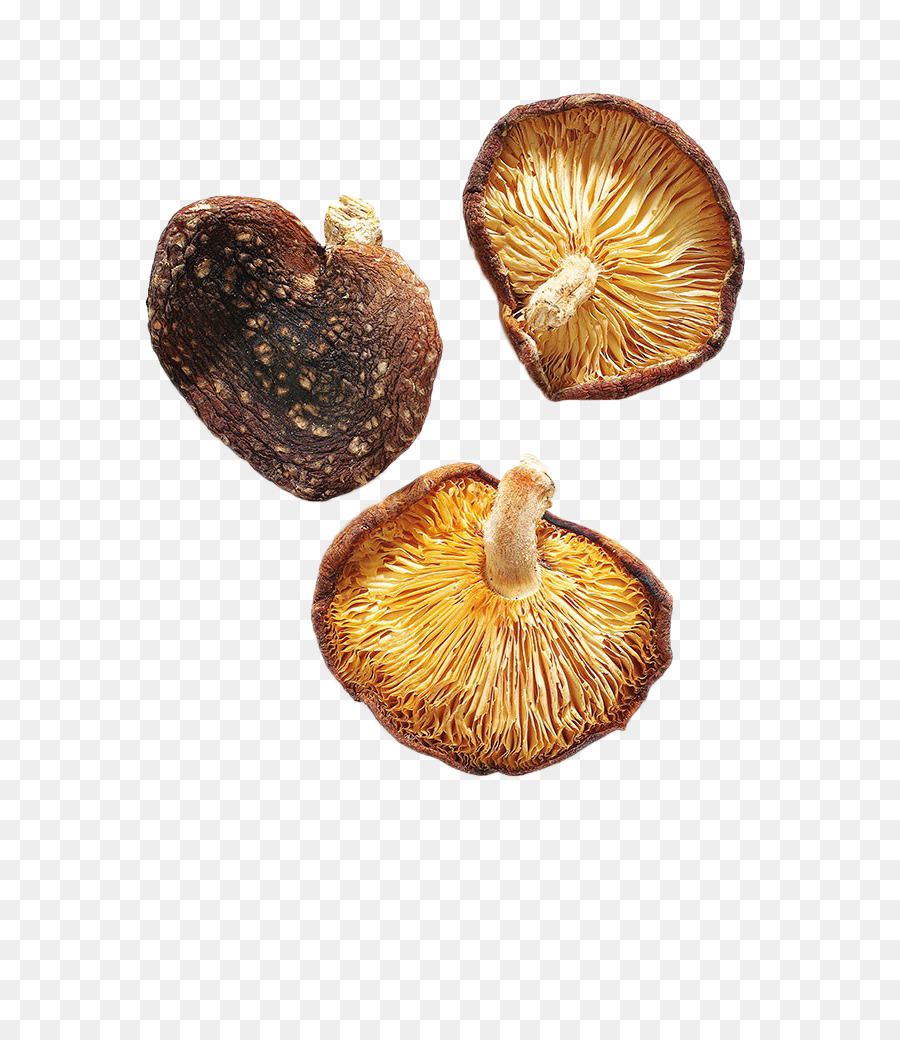 Champignons，Séché PNG