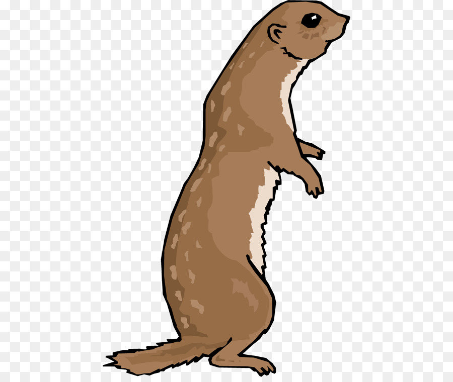 Marmotte，Mammifère PNG