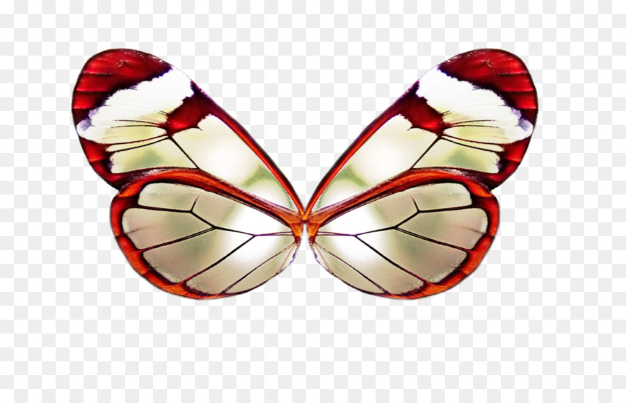 Papillon，Ailes PNG