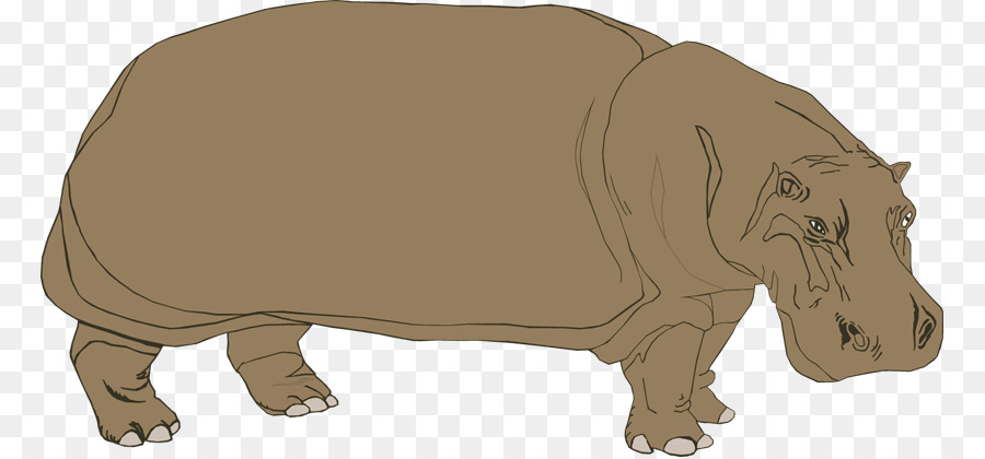 Hippopotame，Stockxchng PNG