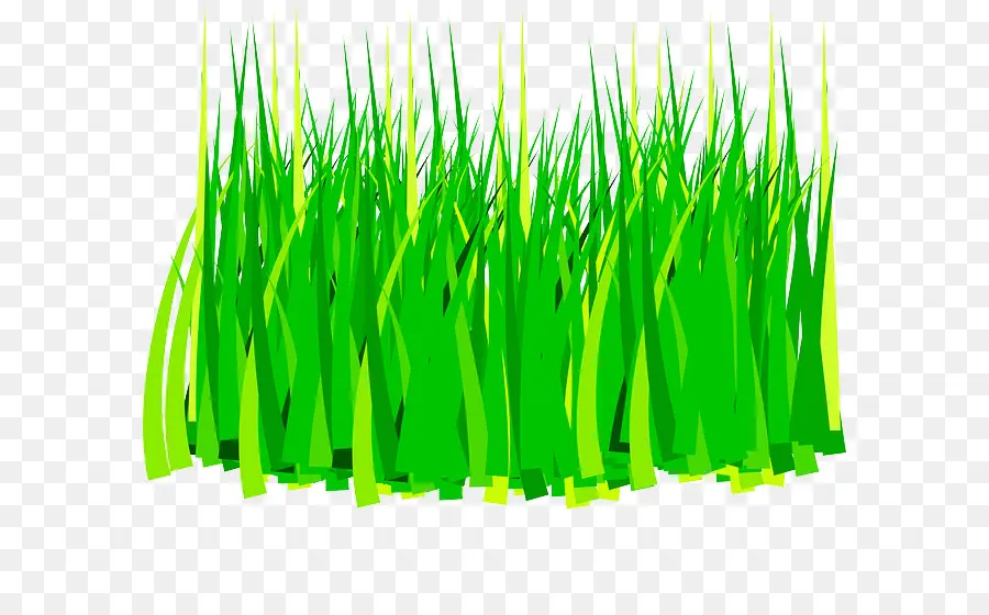 Herbe Verte，Pelouse PNG