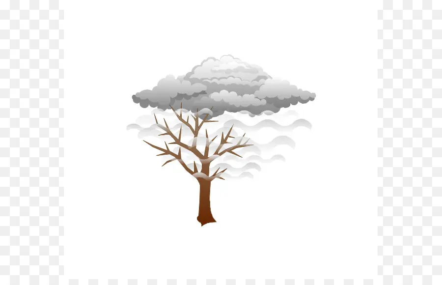 Arbre，Nuage PNG