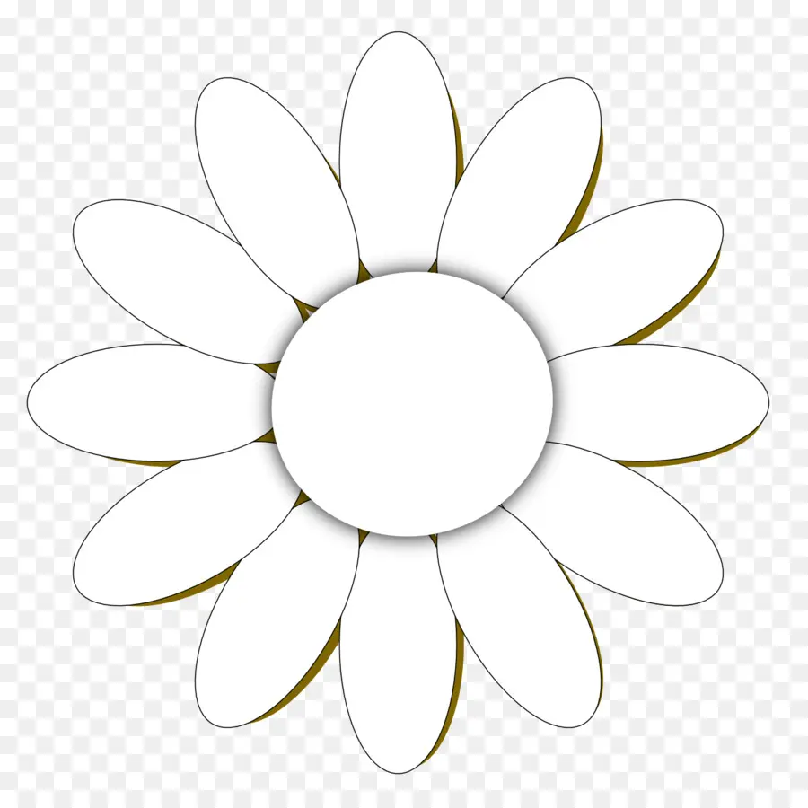 Marguerite Commune，Fleur PNG